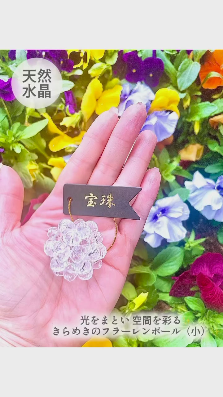 動画を読み込む: 